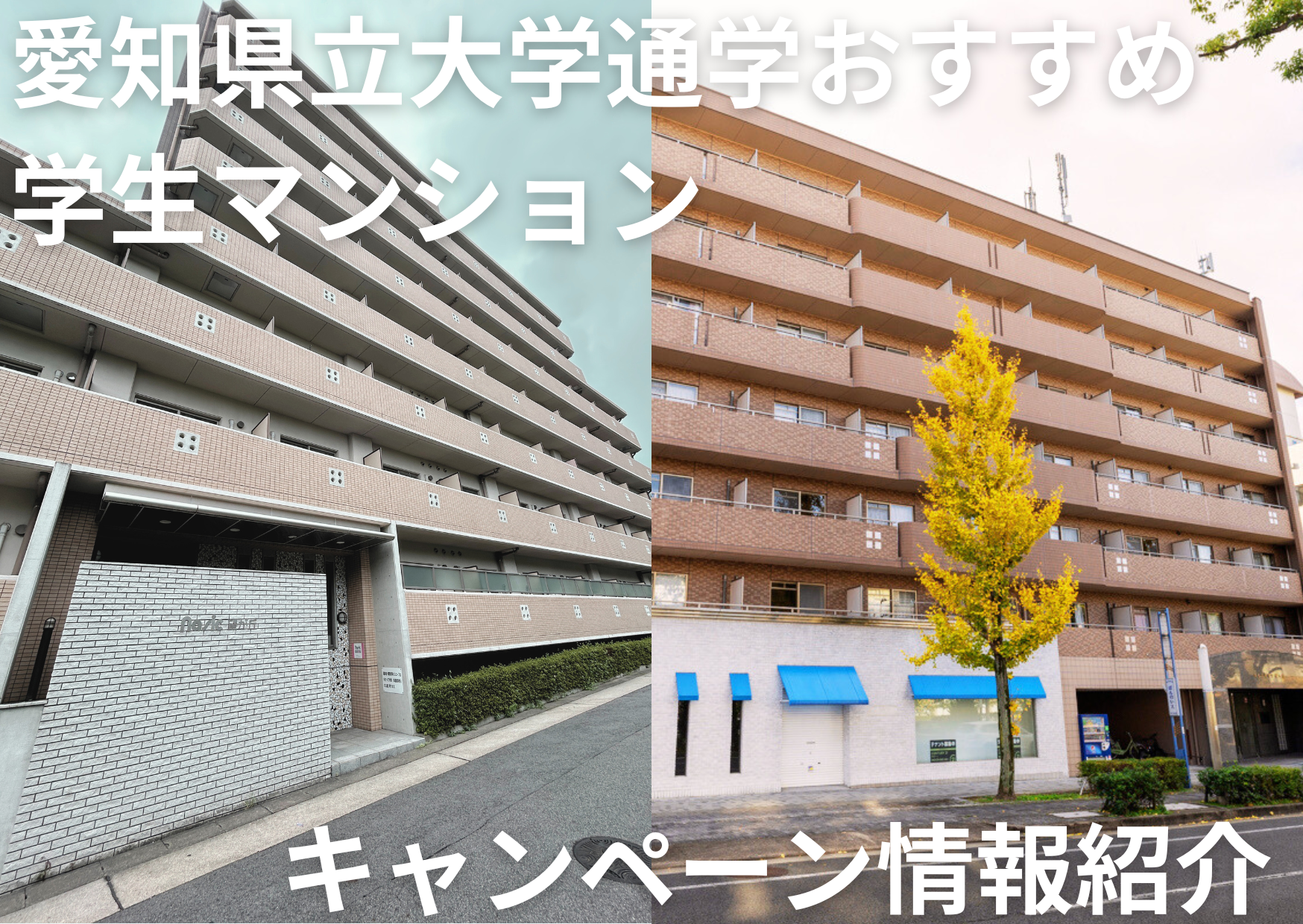 愛知県立大学　キャンペーン