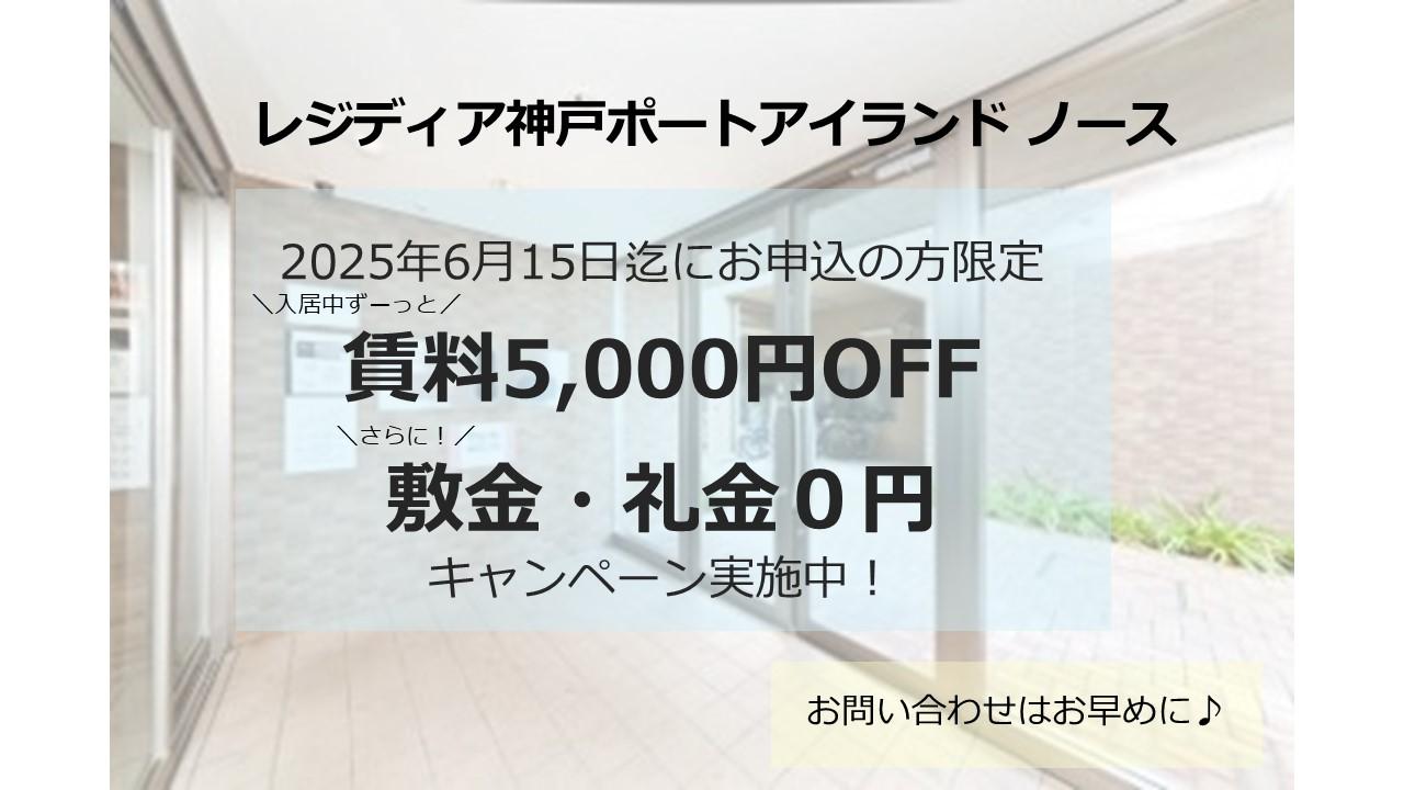 ノース　キャンペーン画像