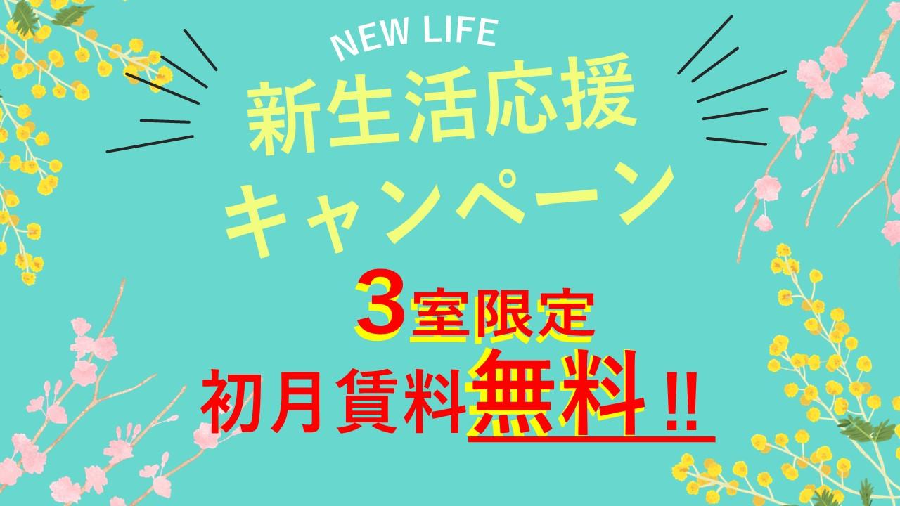 【3室限定】初月賃料無料キャンペーン