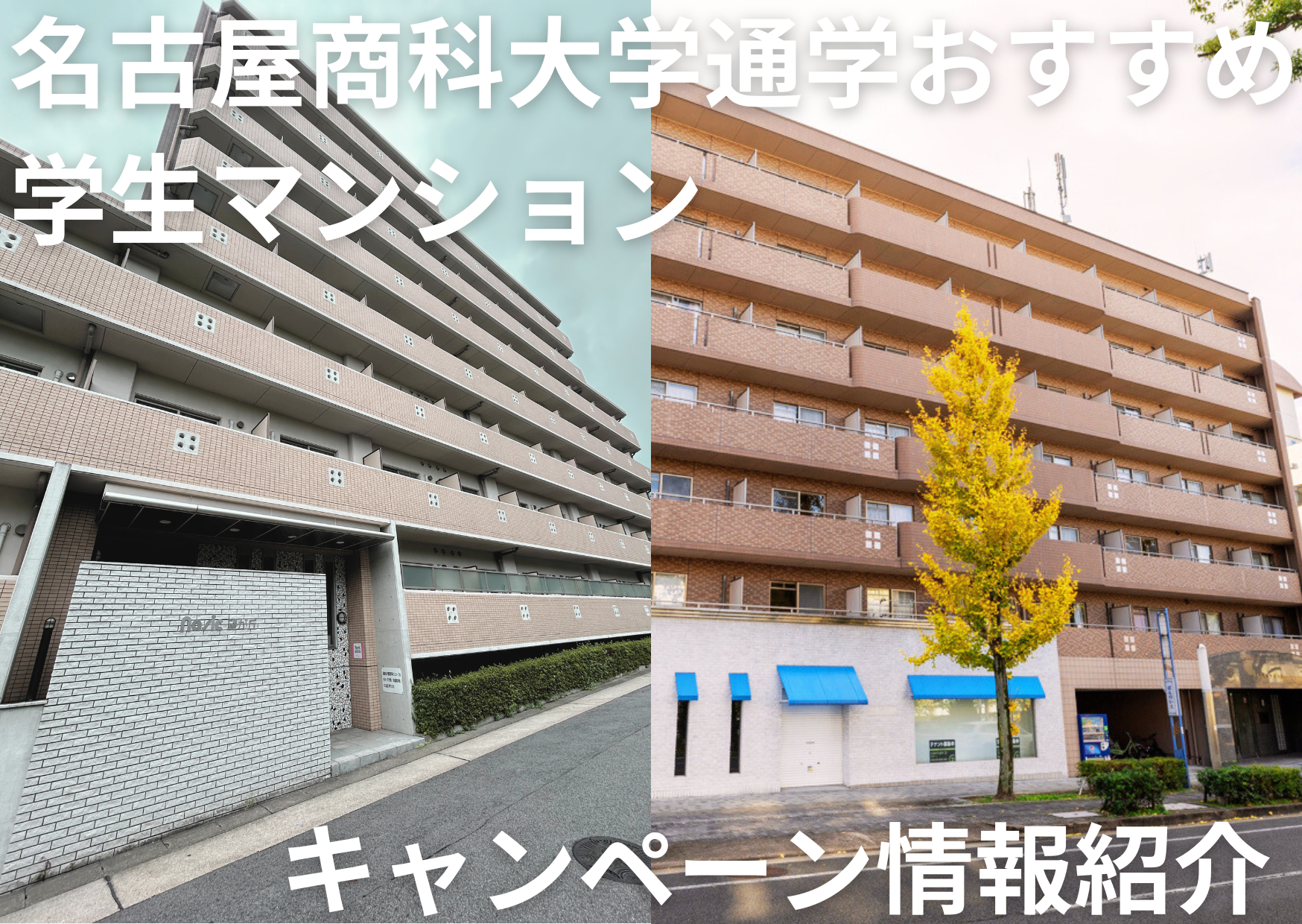 名古屋商科大学　キャンペーン