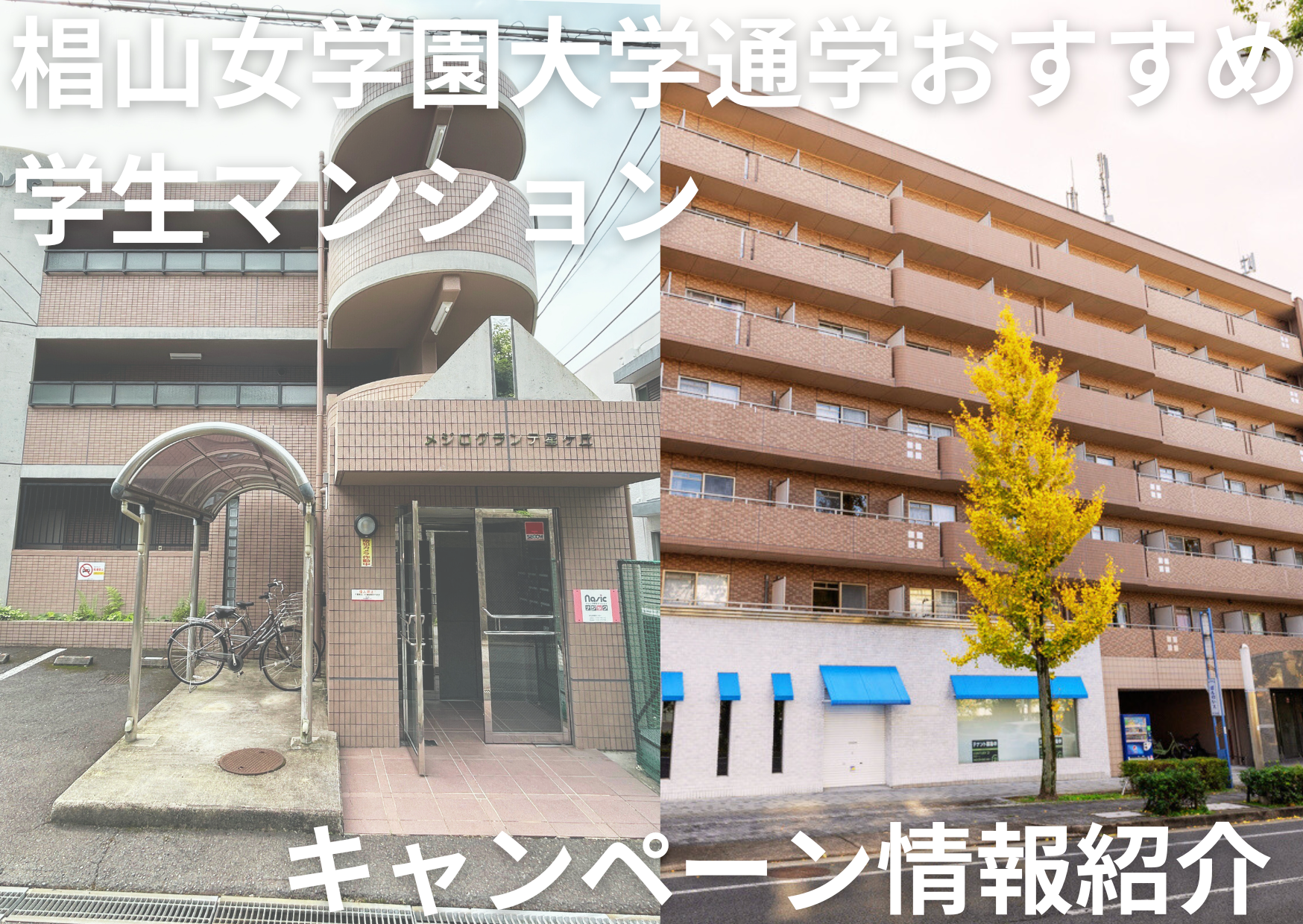 椙山女学園大学　キャンペーン