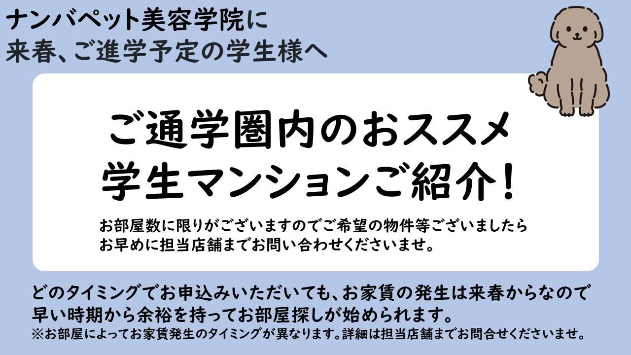 ナンバペット美容学院おすすめマンションのご紹介