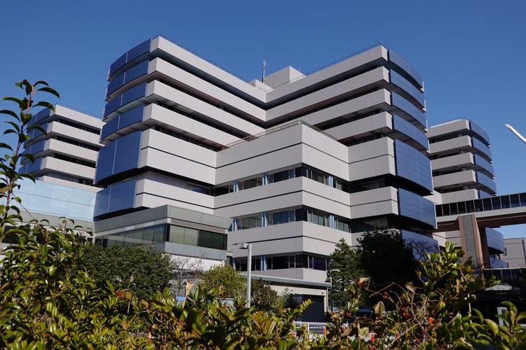 横浜市立大学生の一人暮らしの費用はどのくらい？仕送りは？のイメージ画像